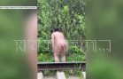 Сексуальный извращенец, нападающий на девушек в парках, работает в детсаду и его не могут уволить