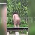 Сексуальный извращенец, нападающий на девушек в парках, работает в детсаду и его не могут уволить