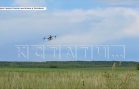 В деревне Белавино сгорели растения в огородах — жители винят дроны местной агрофермы