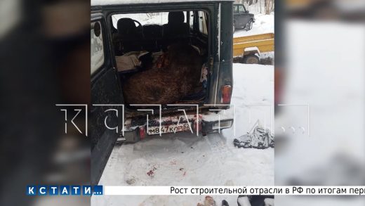 Зам. начальника отдела полиции, стал браконьером, убивающим тех, кого даже нарушители не трогают