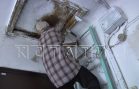 85 летний дедушка нашёл смысл жизни в голубях и по 3 раза в день лазает по чердакам и крышам