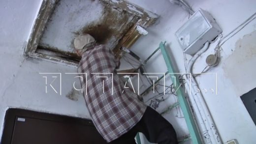 85 летний дедушка нашёл смысл жизни в голубях и по 3 раза в день лазает по чердакам и крышам