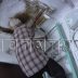 85 летний дедушка нашёл смысл жизни в голубях и по 3 раза в день лазает по чердакам и крышам