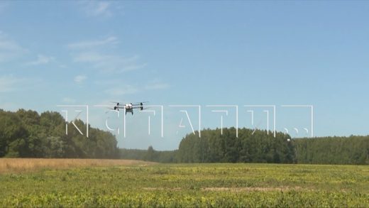 Беспилотники будут облетать и обрабатывать поля в Нижегородской области