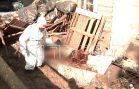 Госветнадзор и районные власти взялись за расчистку концлагеря для животных