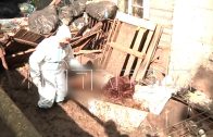 Госветнадзор и районные власти взялись за расчистку концлагеря для животных