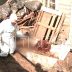 Госветнадзор и районные власти взялись за расчистку концлагеря для животных