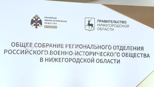Губернатор Нижегородской области избран председателем регионального отделения РВИО
