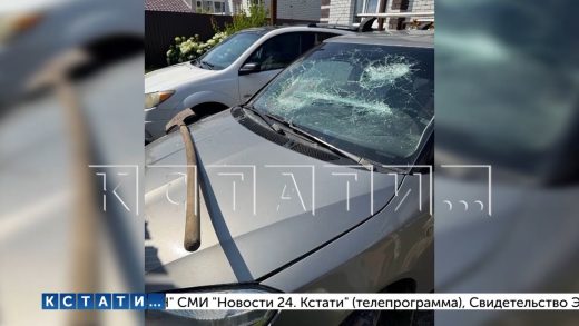 Коллекторы устроили погром доме должника и разбили лопатой его машины