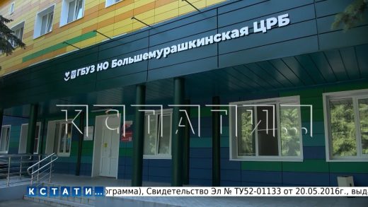 Комиссия правительства Нижегородской области проверила ход модернизации Большемурашкинской ЦРБ