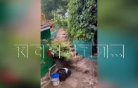 Ливнёвку в ЖК построили так, чтобы вода затапливала садовое товарищество