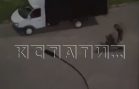 Мужчины, задержанные за избиение девушки, в полиции сказали, что они ни при чём и их отпустили