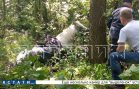 Наездница не справилась с управлением конем и он угодил в болото, откуда его доставали спасатели