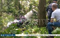 Наездница не справилась с управлением конем и он угодил в болото, откуда его доставали спасатели
