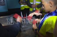 Нижегородские предприятия приняли участие во всероссийском конкурсе «Родная игрушка»