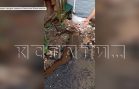 Плотины собственными силами строит жительница Дзержинска, чтобы её дом не затопило