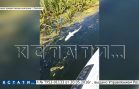 Причину массовой гибели рыбы в Лысковском районе рыбаки нашли по запаху, но источник вину отрицает