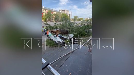 Пьяный водитель за рулём каршеринга пересёк 3 встречных полосы, вылетел на тротуар и сбил пешеходов