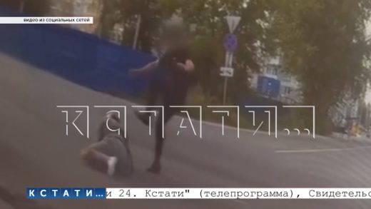 Ростовские цыгане подрезали нижегородского байкера, а когда он упал запинали умирающего