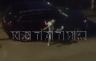 Руками, ногами, кирпичами и дубинами женщина громила машины припаркованные в её дворе