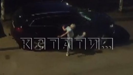 Руками, ногами, кирпичами и дубинами женщина громила машины припаркованные в её дворе