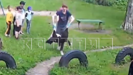 С использованием запрещенных средств служба отлова застрелила хозяйскую собаку на детской площадке