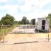 Сибирская язва, заболевание которого не было в Нижегородской области с прошлого века,снова вернулась