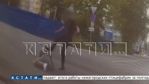В отношении цыган, которые подрезали байкера и запинали умирающего, возбуждено уголовное дело