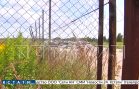 Земли принадлежащие фермеру, районные власти отдали под незаконную свалку мусорщикам