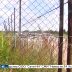 Земли принадлежащие фермеру, районные власти отдали под незаконную свалку мусорщикам