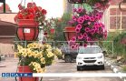 Жители элитного поселка оказались крепостными, которых отключают от воды, канализации и электричеств