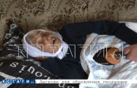 110 летняя бабушка ушла гулять, заблудилась в лесу, прожила там 3 дня и была спасена