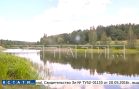 8 летний ребенок утонул в пруду в селе Аламасово