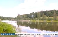 8 летний ребенок утонул в пруду в селе Аламасово