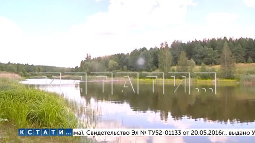 8 летний ребенок утонул в пруду в селе Аламасово