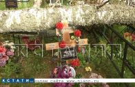 Аномальная зона — второй раз за лето локальный ураган повалил вековые деревья на кладбище
