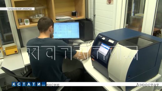 Губернатор Нижегородской области осмотрел самые значимые объекты в Сеченовском районе