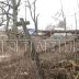 Мошенничество с бюджетными деньгами скрывалось за обвинениями критиков власти в дискредитации власти