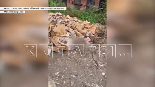 Неизвестные под окнами жилых домов свалили коробки с тухлыми куриными потрохами в 2 районах города