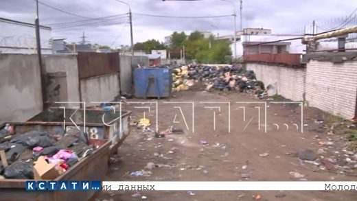 Свалку мусора создали на территория предприятия, отвечающего за благоустройство города