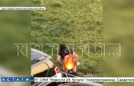 Уволенные сотрудницы пивного магазина, чтобы отомстить за увольнение, избивают жителей
