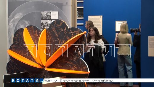 В Академии «Маяк» открылась выставка экологического искусства «Сложная смесь»
