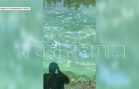 Вода в Волге в районе Лыскова превратилась в мутную зеленую субстанцию с неприятным запахом