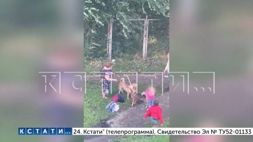 Женщина стравила двух собак на глазах у своих шестерых детей