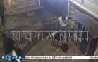 Группировке молодежи, развлекавшейся тем, что избивали гостей ресторанов, вынесен приговор