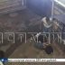 Группировке молодежи, развлекавшейся тем, что избивали гостей ресторанов, вынесен приговор
