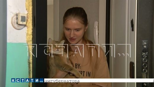Над подростком, принимавшим участие в истязании пенсионерки, жители Балахны устроили самосуд