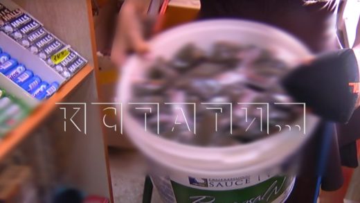 В продуктовом магазине торгуют запрещёнными веществами, в туалете расположили цех по разливу коньяка