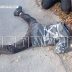 Водитель мусоровоза, переехавший 9 летнего ребенка и скрывшийся с места преступления, предстал перед