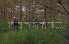 Бесплатные участки многодетным семья и семьям участников СВО дали в непролазном лесу
